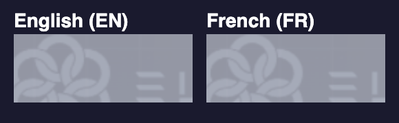 Globe icon language toggle showing EN/FR options